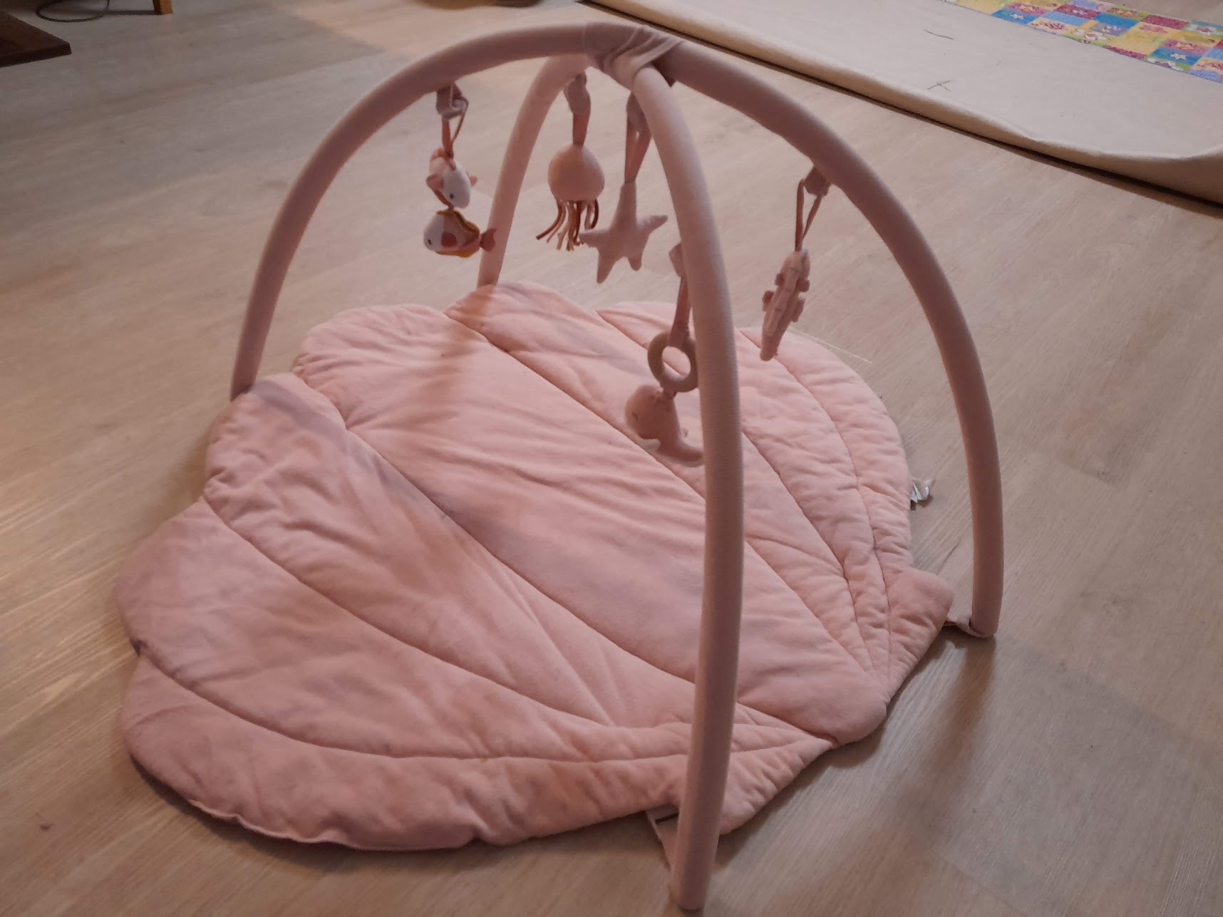 Plush Pink Sensory Baby Playmat