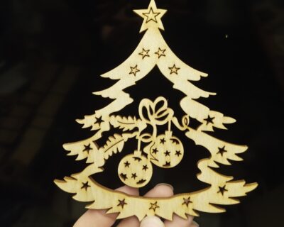 IMG_20251118_173016_789